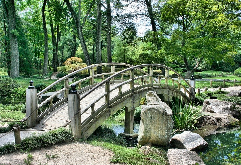 japansk have med bro